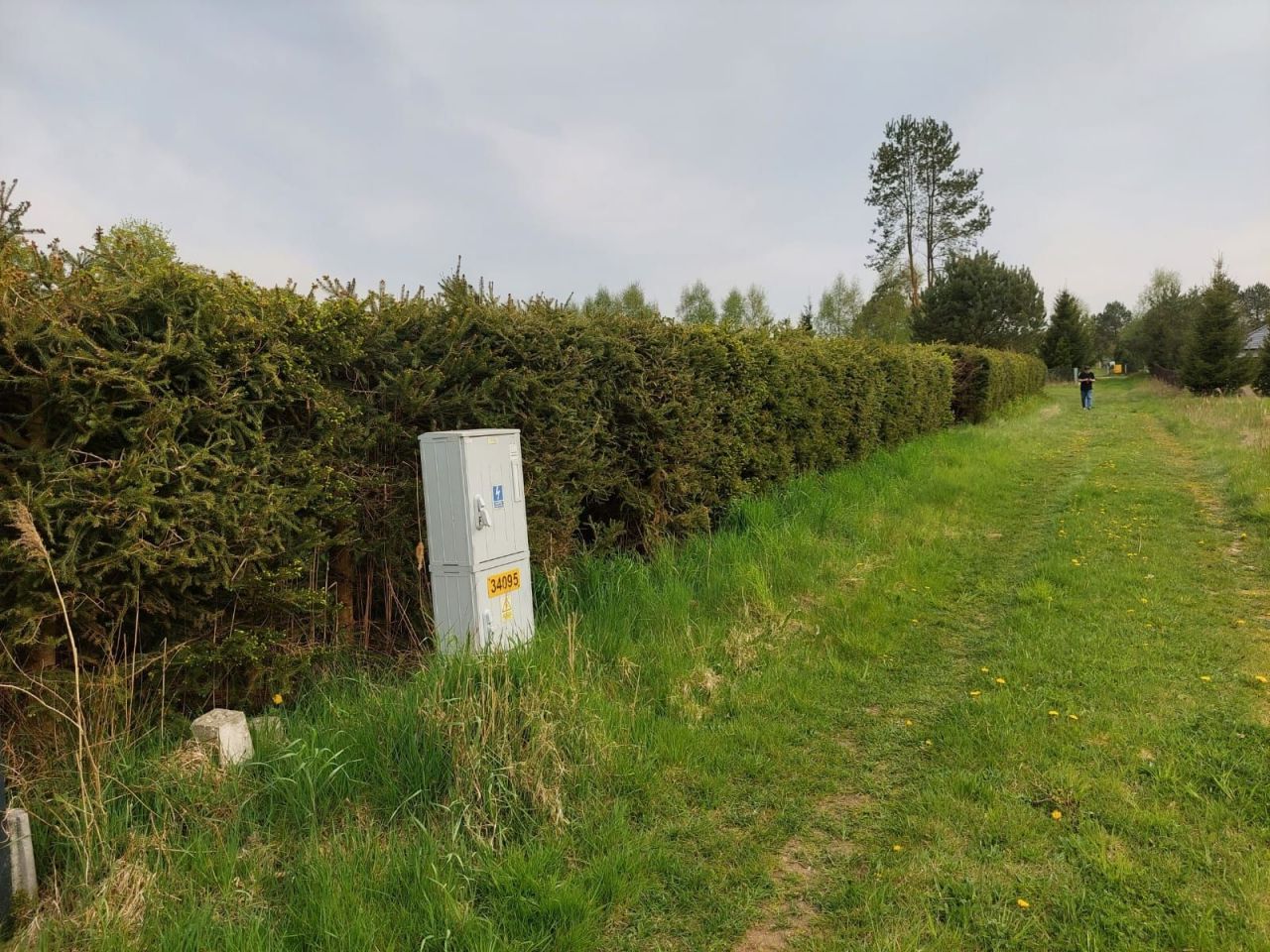 Działka rolna Gostyniec. Zdjęcie 5