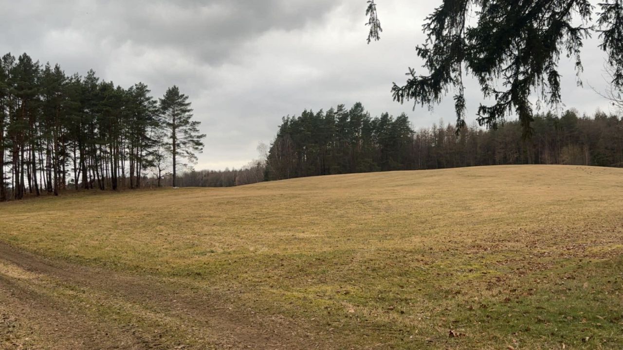 Działka rolna Żelisławie. Zdjęcie 2