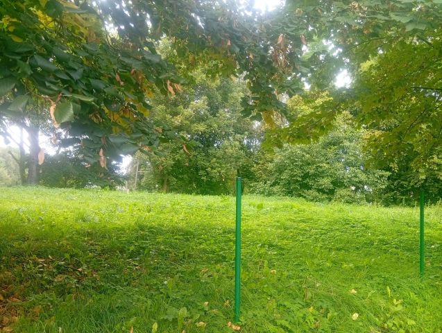 Działka budowlana Kuraszków. Zdjęcie 1