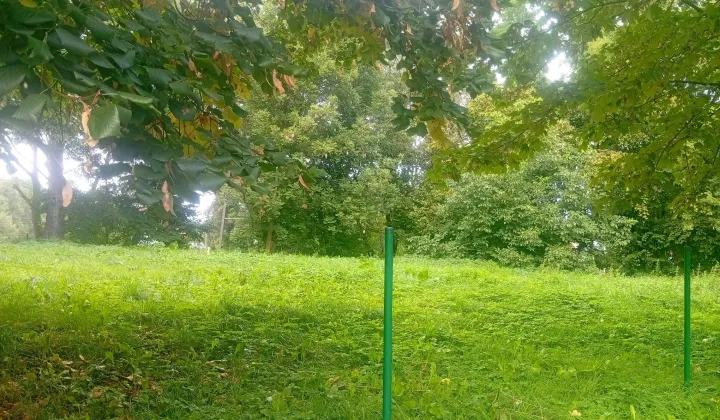 Działka budowlana Kuraszków