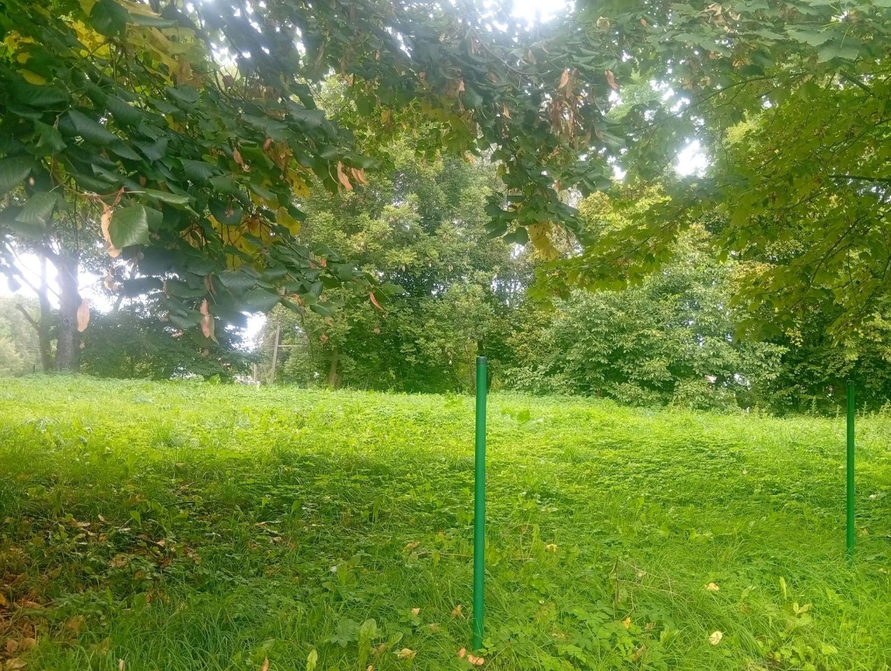 Działka budowlana Kuraszków. Zdjęcie 1