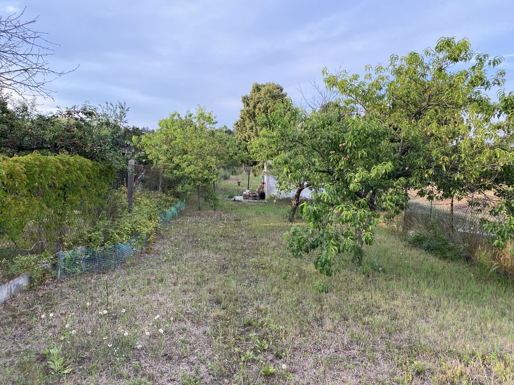 Działka rod Wrocław Psie Pole, ul. Giżycka. Zdjęcie 2