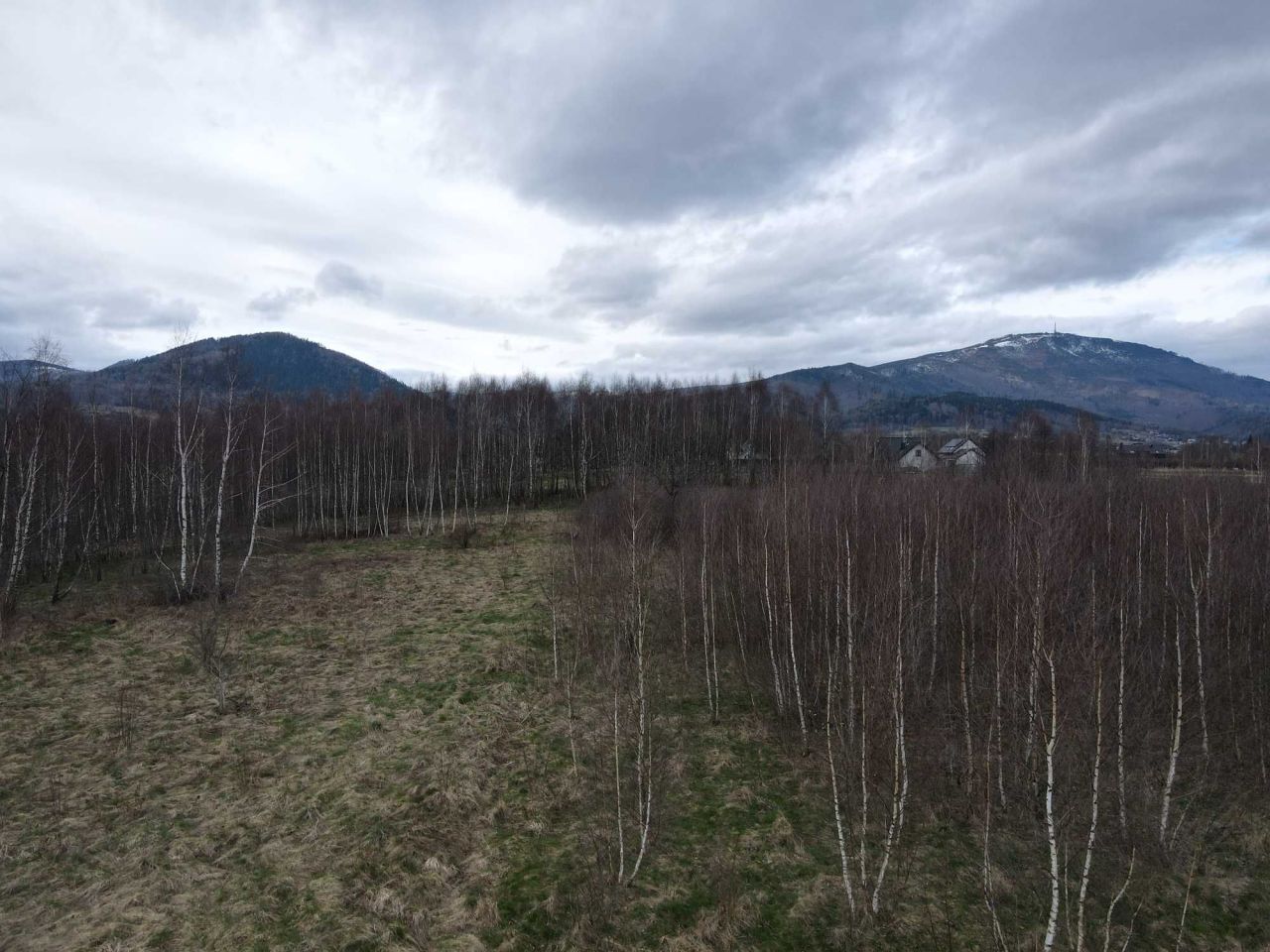 Działka budowlana Lipowa, ul. Promienna. Zdjęcie 6