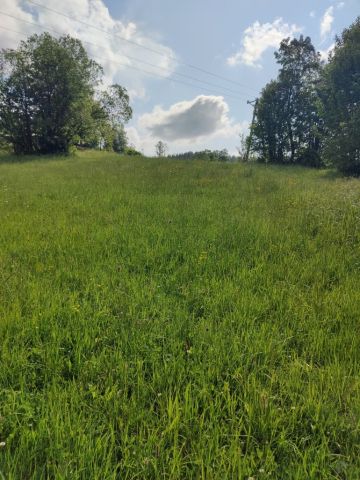 Działka inwestycyjna Gliczarów Dolny. Zdjęcie 3
