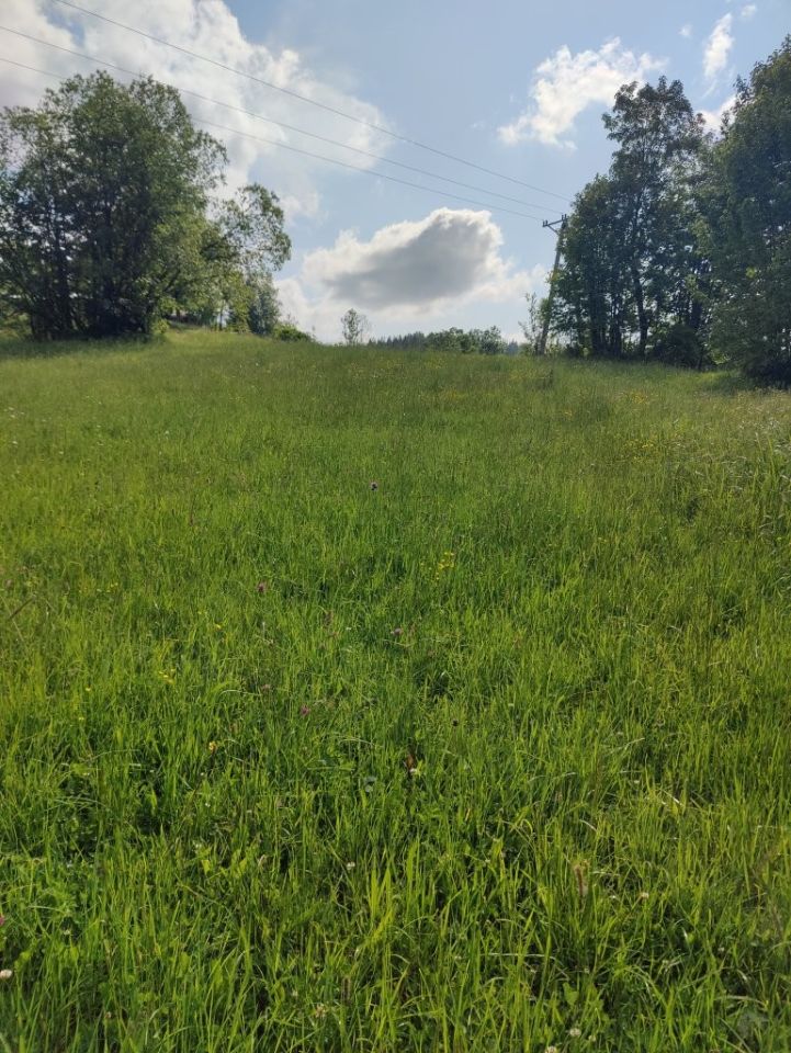 Działka inwestycyjna Gliczarów Dolny. Zdjęcie 3