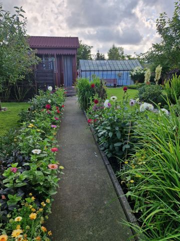 Działka rod Kołobrzeg. Zdjęcie 1