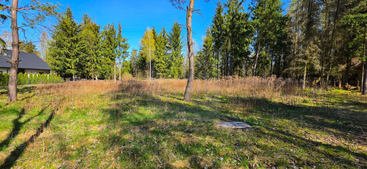 Działka budowlana Czarny Las. Zdjęcie 2