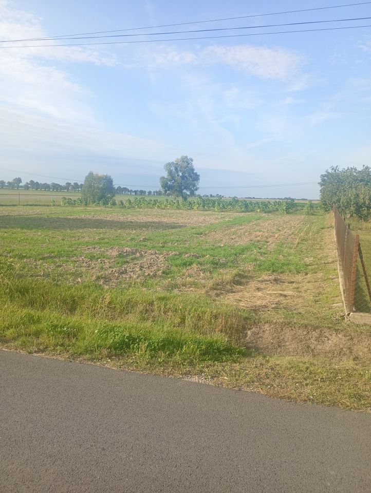 Działka budowlana Krzywizna, ul. Rożnowska. Zdjęcie 2