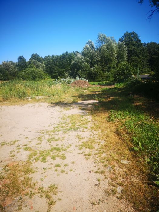 Działka budowlana Klonów. Zdjęcie 3