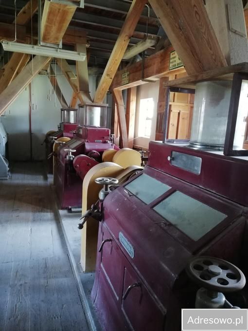 Działka siedliskowa Szyszków. Zdjęcie 7