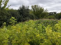 Działka budowlana Teresin, ul. Sarnia. Zdjęcie 3