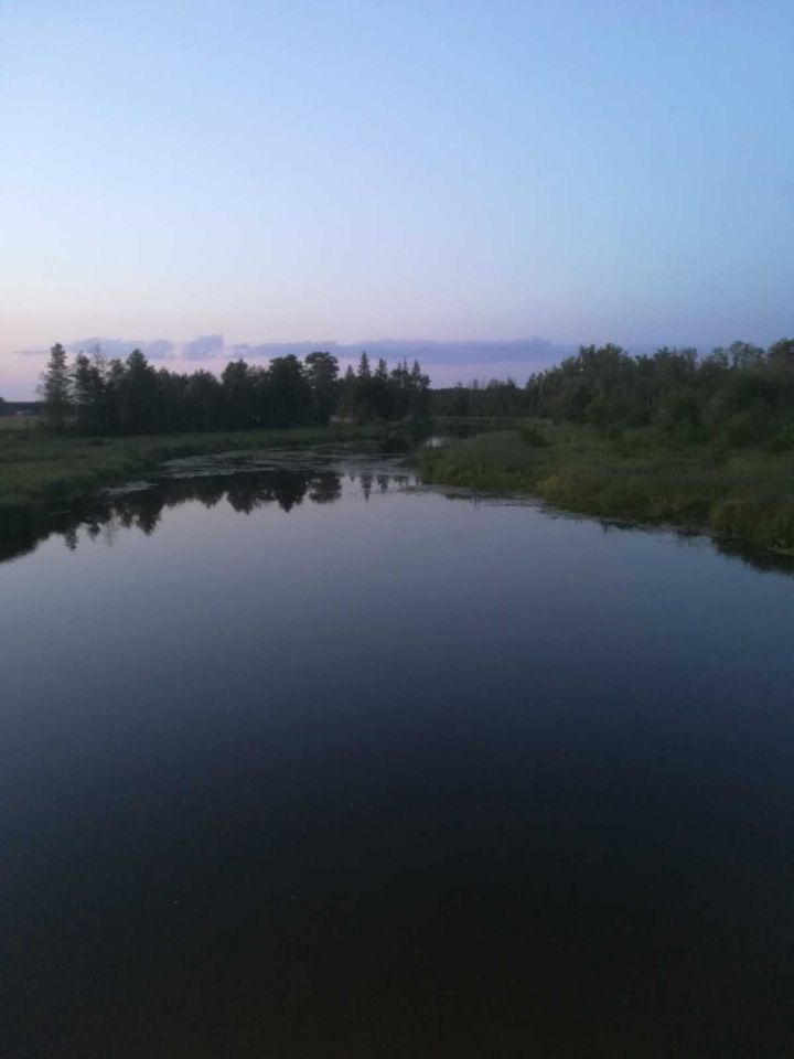 Działka rolna Młynarze. Zdjęcie 6