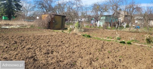 Działka rod Gorzów Wielkopolski Zakanale , ul. Marcina Kasprzaka. Zdjęcie 1