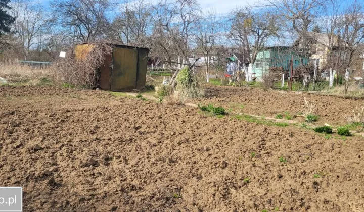 Działka rod Gorzów Wielkopolski Zakanale , ul. Marcina Kasprzaka