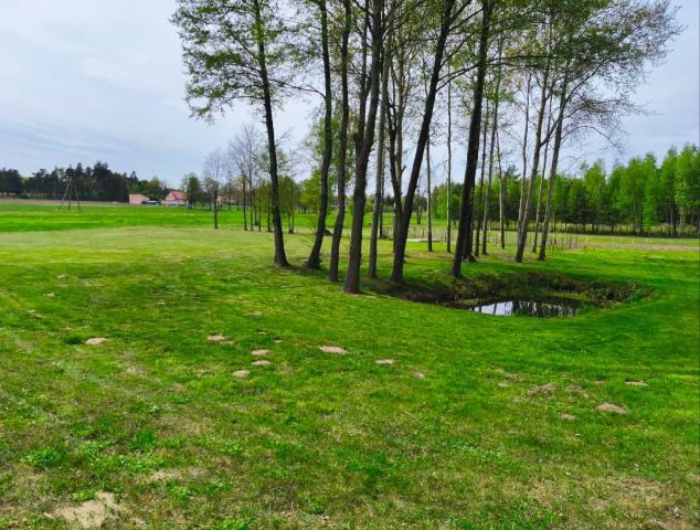Działka rolna Bogdanów-Kolonia. Zdjęcie 1