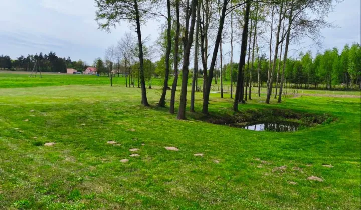 Działka rolna Bogdanów-Kolonia