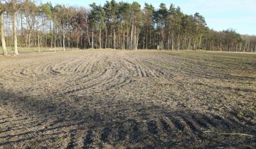 Działka budowlana Grodziec Drugi