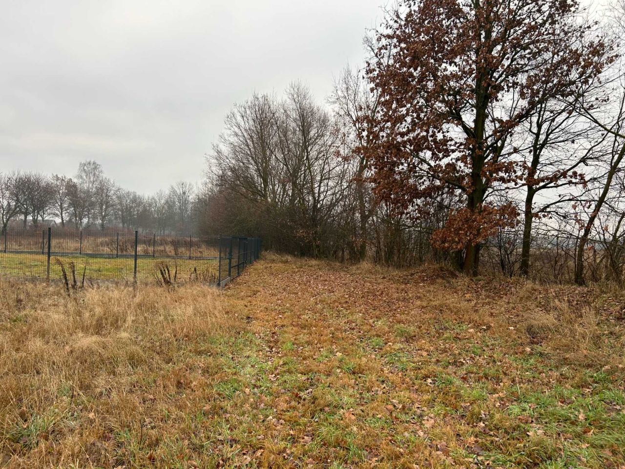 Działka budowlana Płaciszewo