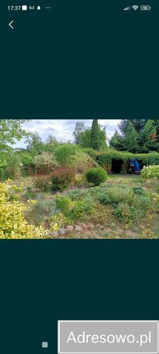 Działka rod Wrocław Kozanów. Zdjęcie 3