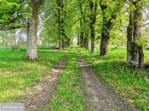 Działka siedliskowa Sobolew, ul. Żelechowska. Zdjęcie 4