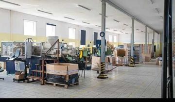 Hala/magazyn Cieszyn