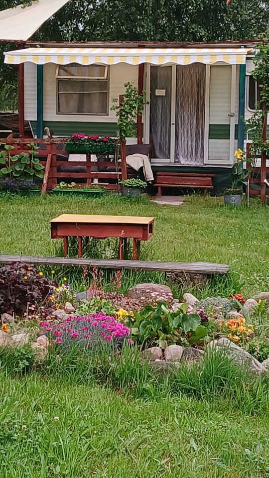 Działka siedliskowa Wyględówek. Zdjęcie 4