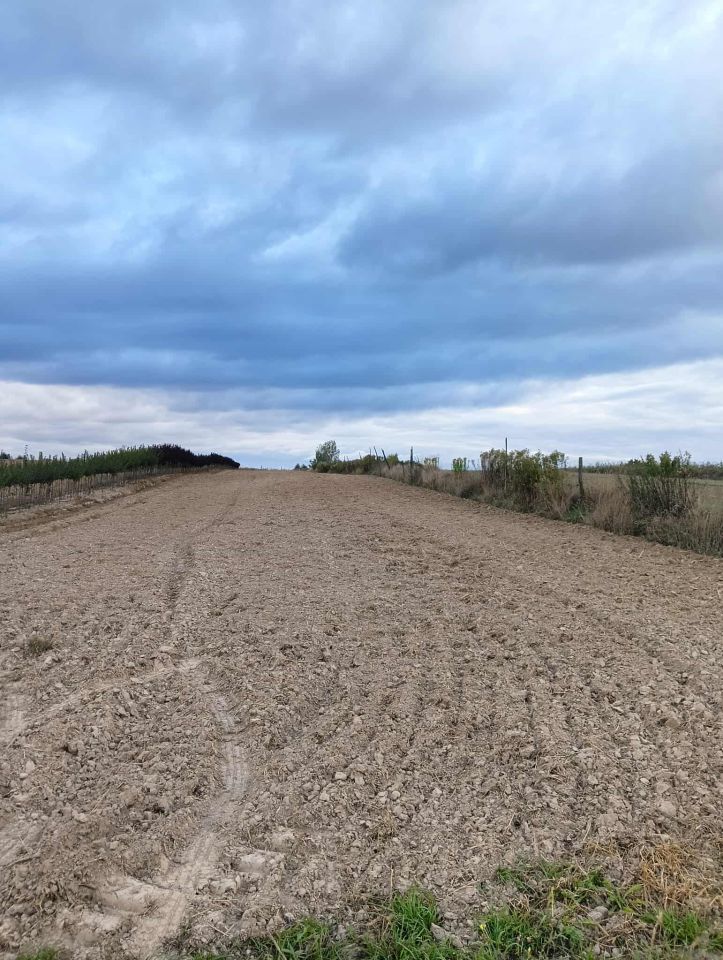 Działka rolno-budowlana Las Stocki. Zdjęcie 2