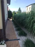 dom wolnostojący, 4 pokoje Biała Podlaska, ul. Rakowa. Zdjęcie 2