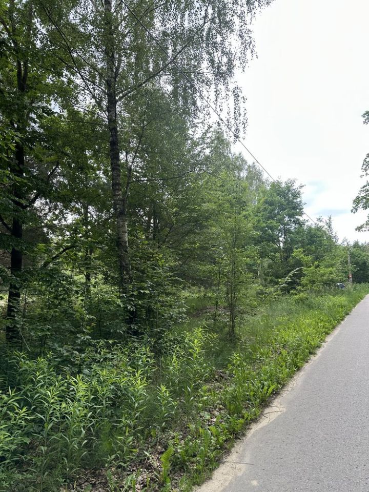 Działka budowlana Rudka-Sanatorium. Zdjęcie 2