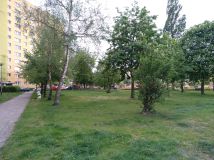 Mieszkanie 2-pokojowe Szczecin, ul. Jasna. Zdjęcie 4