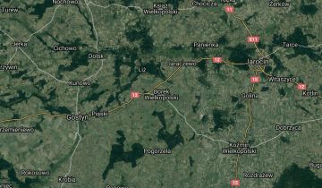 Działka rolna Borek Wielkopolski