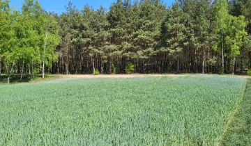 Działka Okalewko