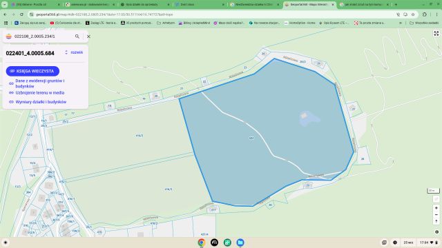 Działka siedliskowa Niedźwiedzica. Zdjęcie 1