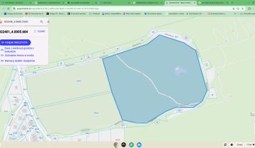 Działka siedliskowa Niedźwiedzica