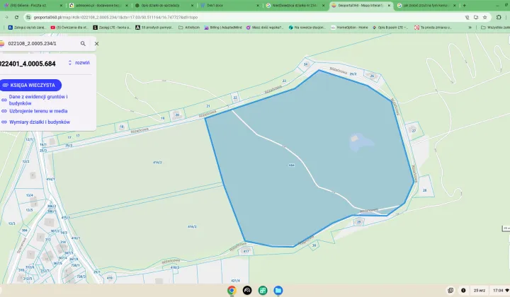 Działka siedliskowa Niedźwiedzica