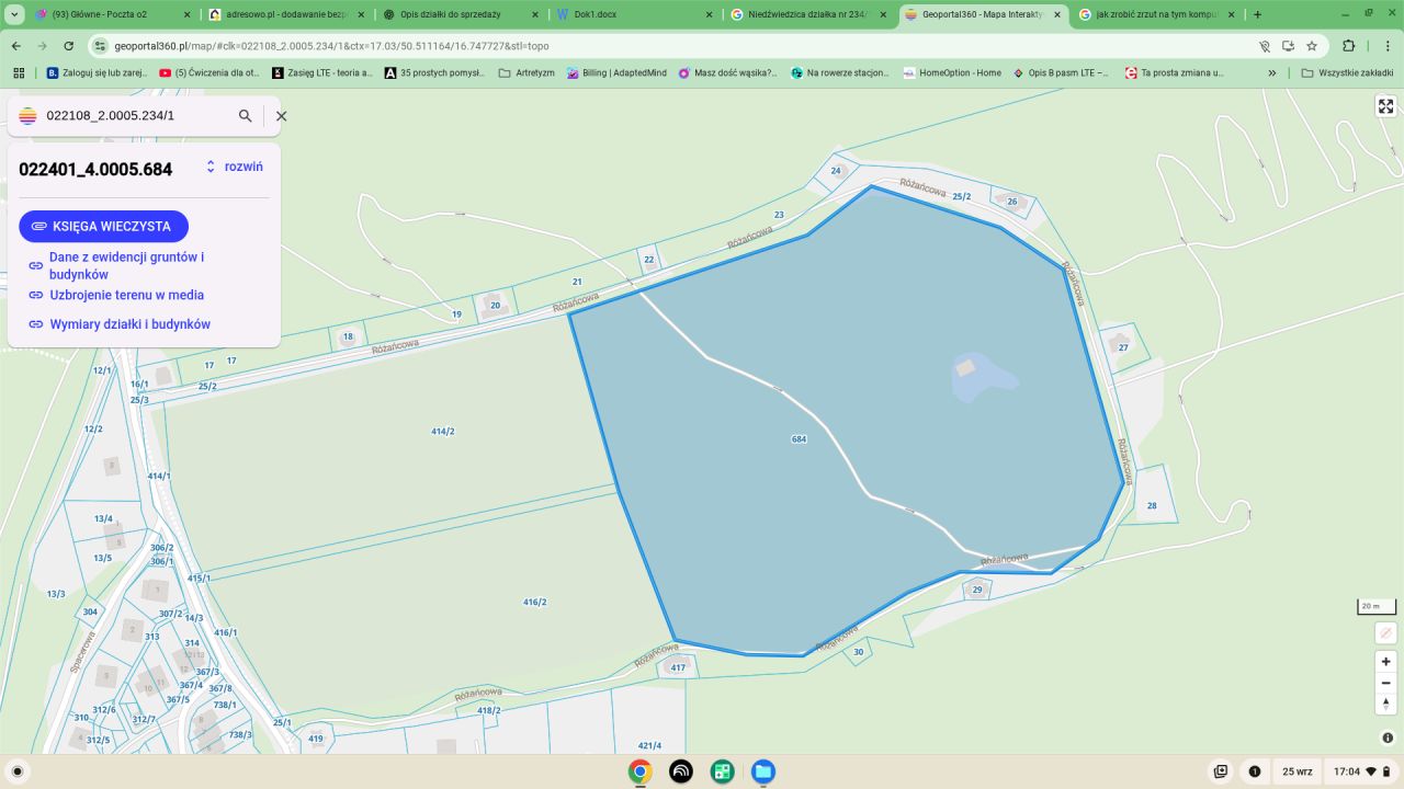 Działka siedliskowa Niedźwiedzica