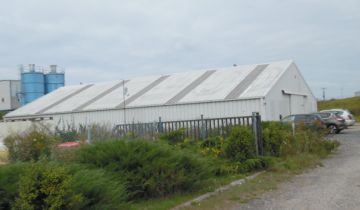 Nieruchomość komercyjna Mirosław