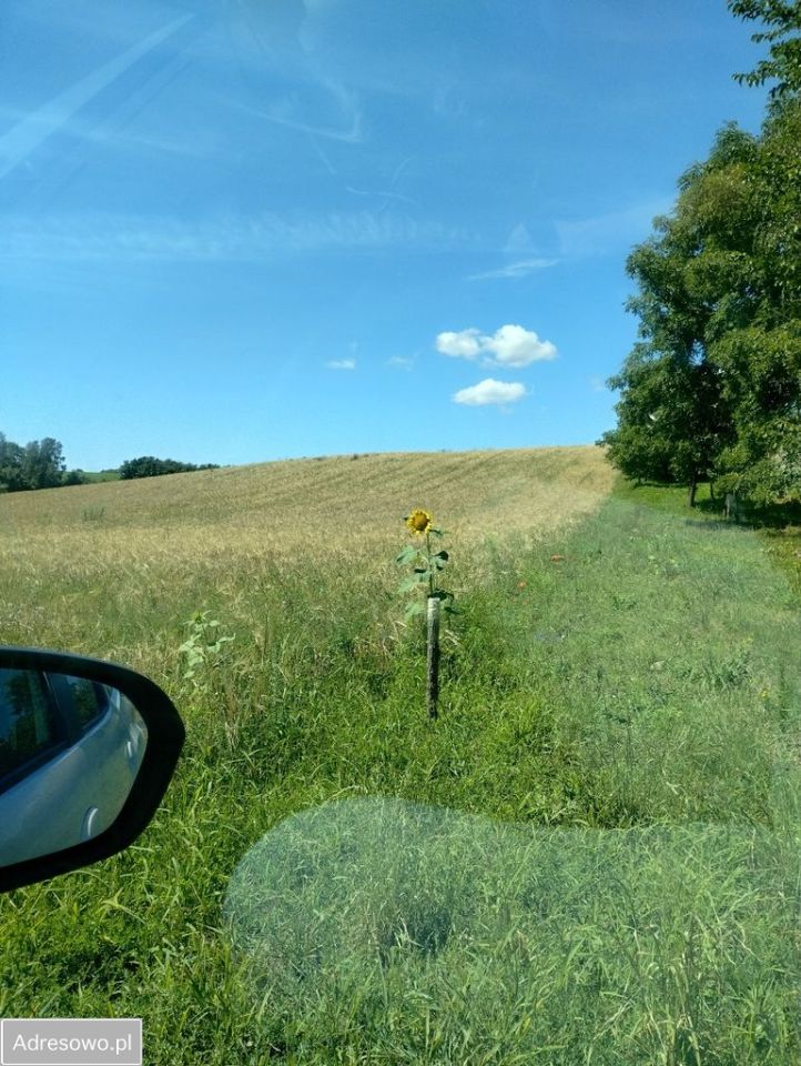 Działka budowlana Jarczechowo. Zdjęcie 5