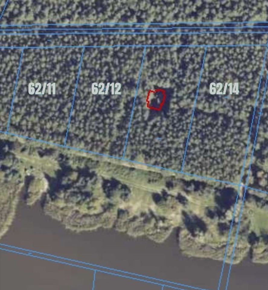 Działka leśna Józefina Murowaniec. Zdjęcie 9