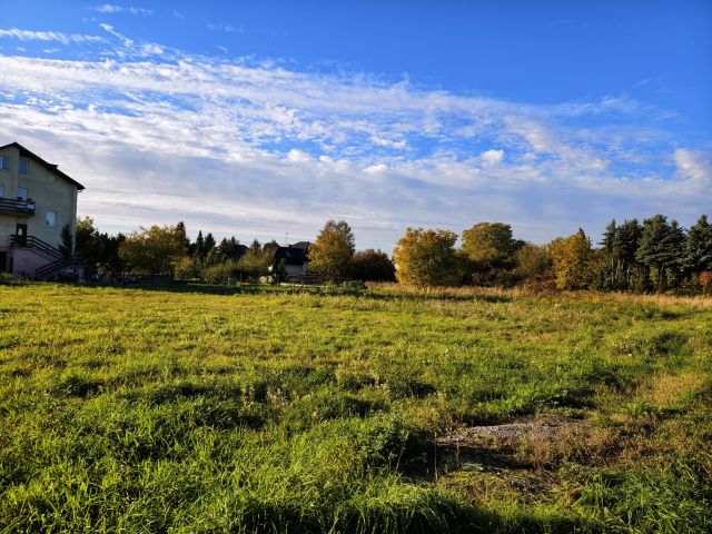 Działka budowlana Bieniewice Witanów, ul. Błońska. Zdjęcie 1