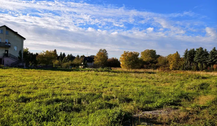 Działka budowlana Bieniewice Witanów, ul. Błońska