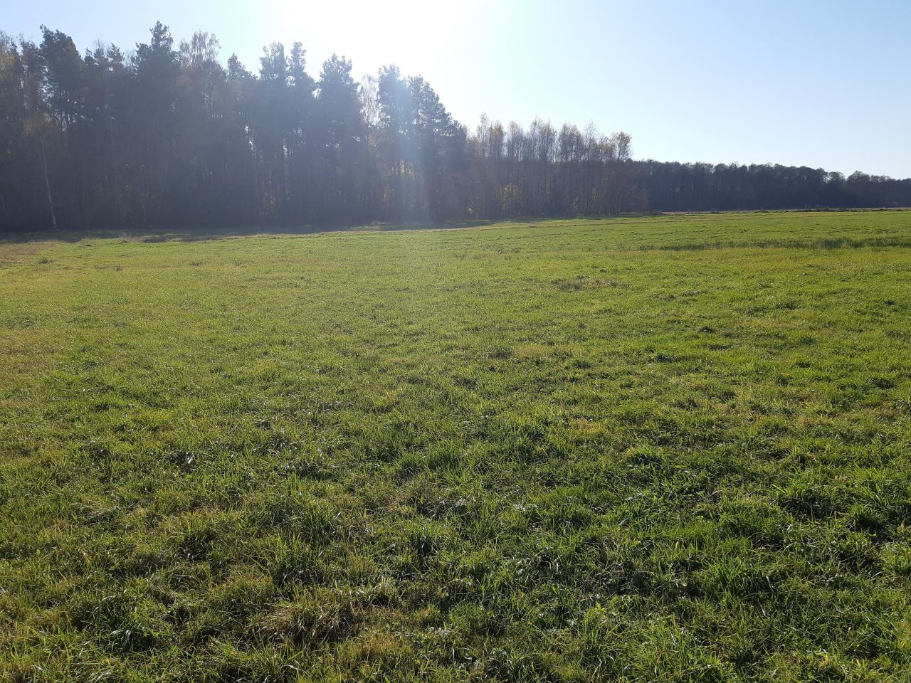 Działka rolno-budowlana Prostyń. Zdjęcie 5