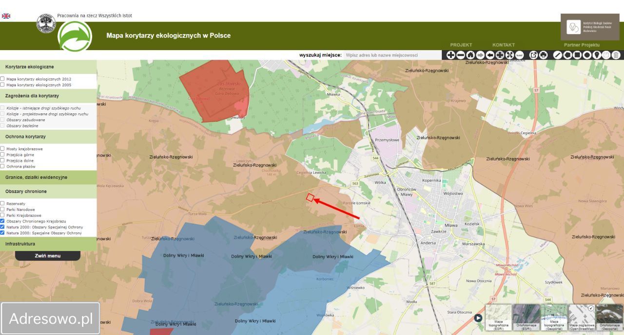 Działka budowlana Parcele Łomskie. Zdjęcie 3