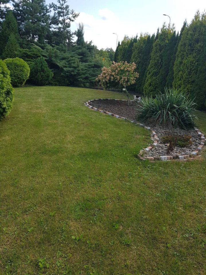 Działka rod Zabrze. Zdjęcie 6