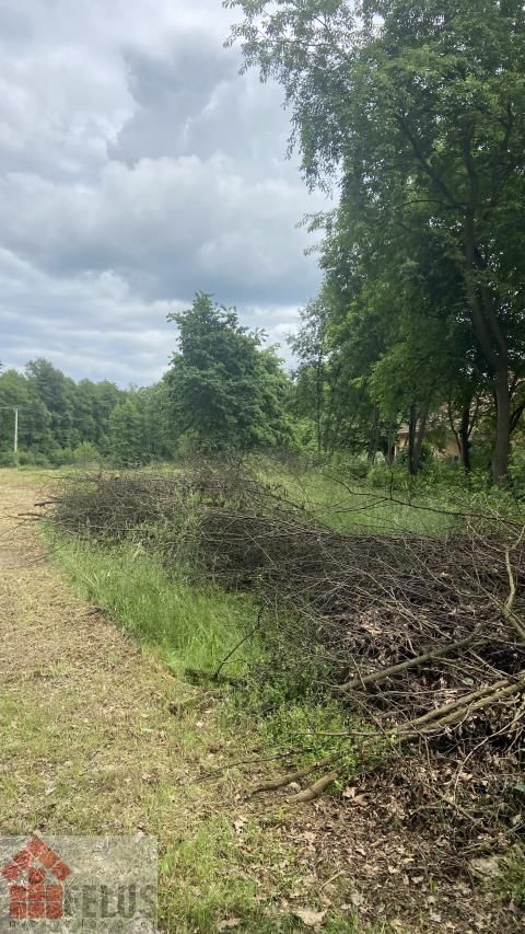 Działka rolno-budowlana Czernichów. Zdjęcie 3