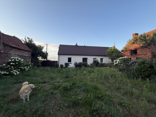 dom wolnostojący, 3 pokoje Moraczewo. Zdjęcie 1