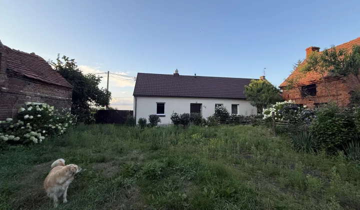 dom wolnostojący, 3 pokoje Moraczewo