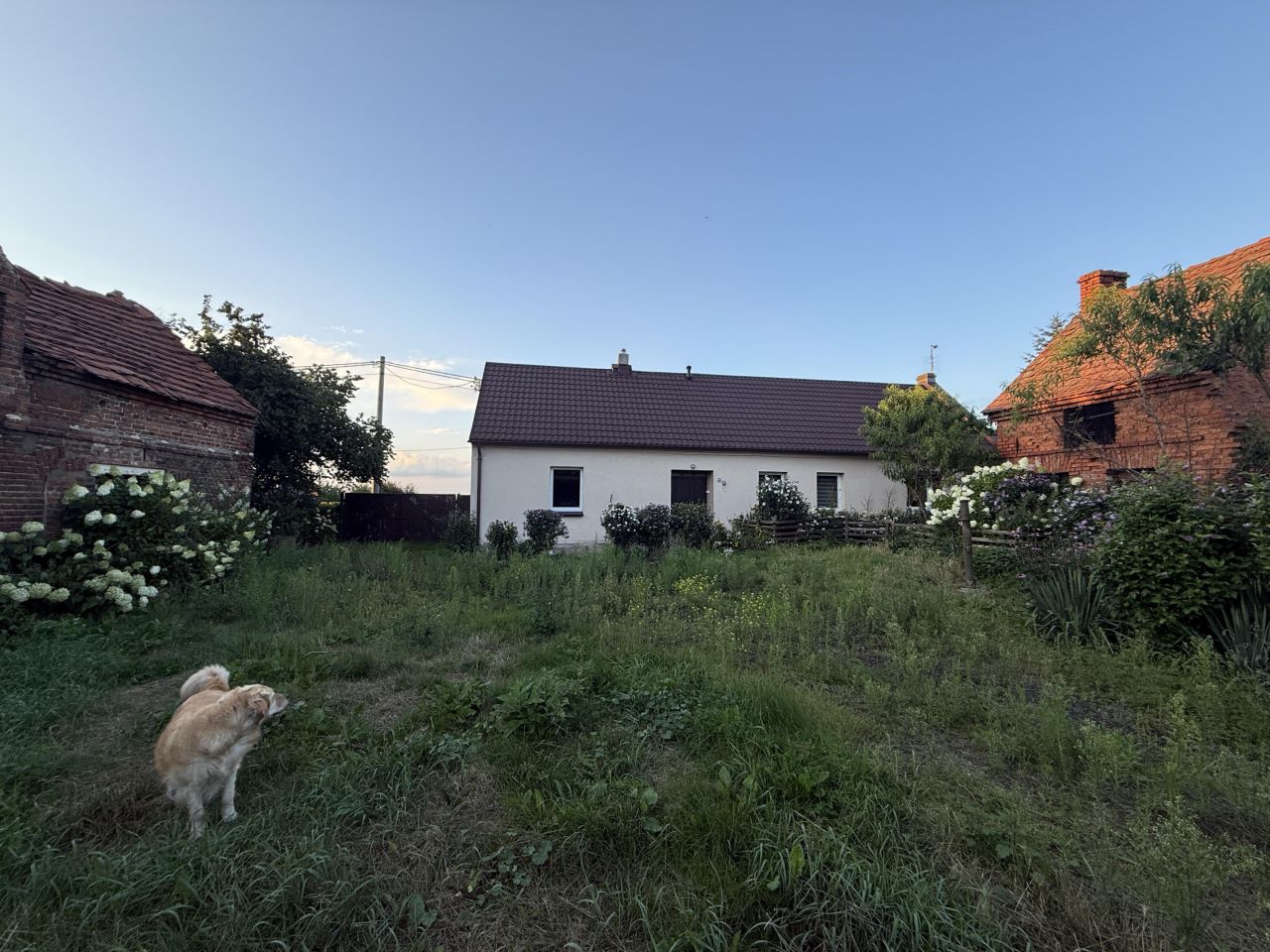 dom wolnostojący, 3 pokoje Moraczewo