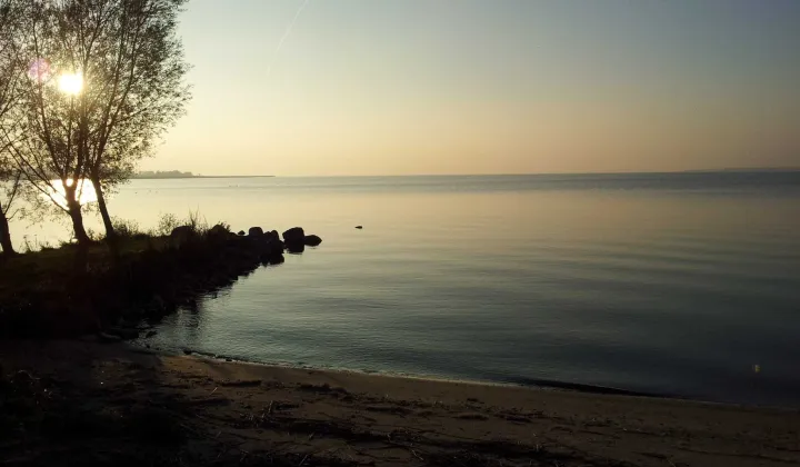 Działka budowlana Nowe Guty