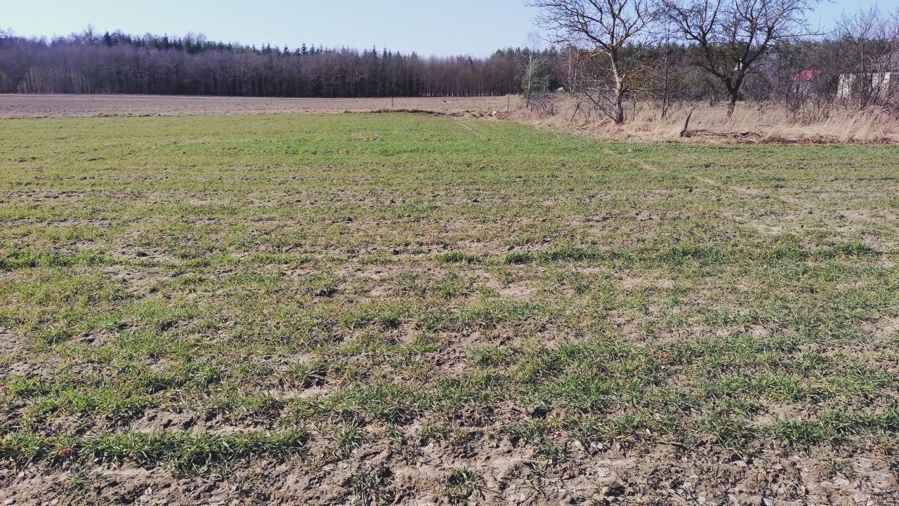 Działka budowlana Stara Jedlanka Jedlanka. Zdjęcie 3